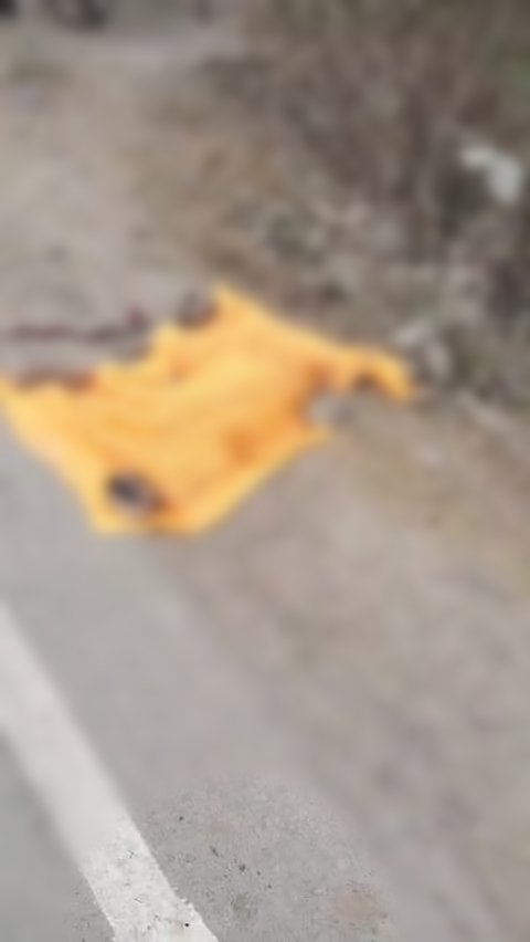 रायबरेली - सड़क हादसे में बंदर की मौके पर मौत, ग्रामीणों ने किया अंतिम संस्कार