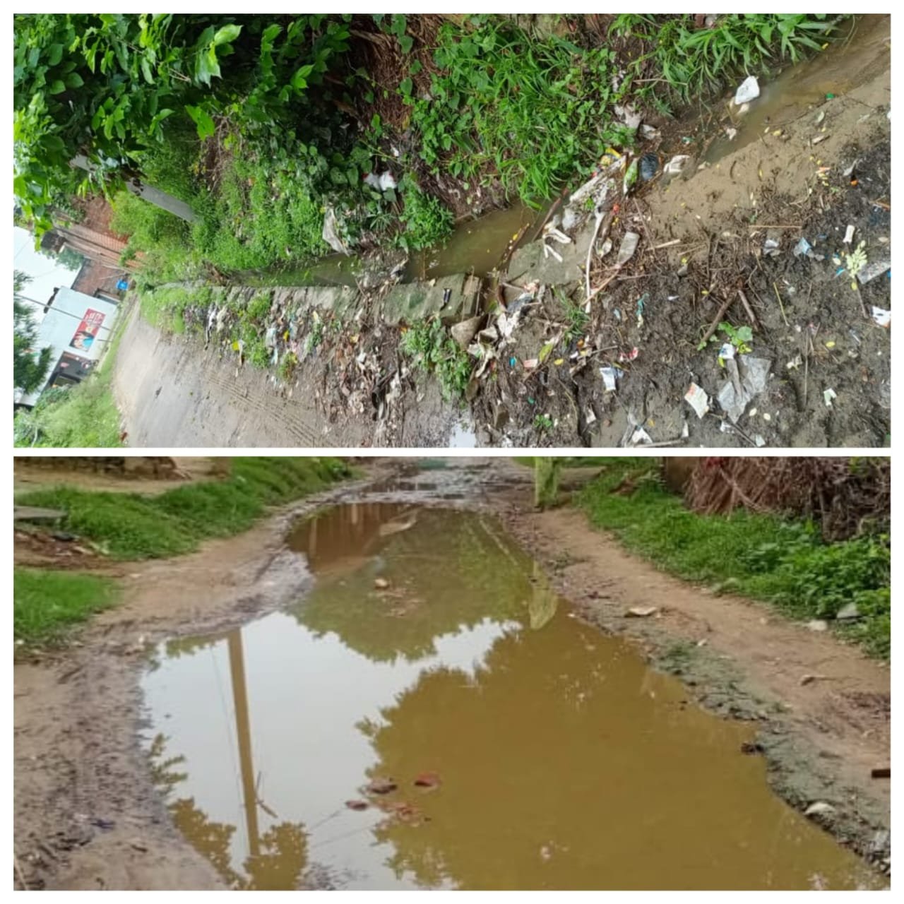 Raebareli:डेंगू,चिकनगुनिया,मलेरिया जैसी अन्य बीमारियों का मंडरा रहा है खतरा