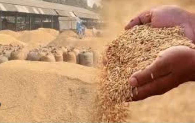 रायबरेली-धान बेचने के लिये दरदर भटक रहें किसान, लेखपाल नही कर रहे सत्यापन,,,,?