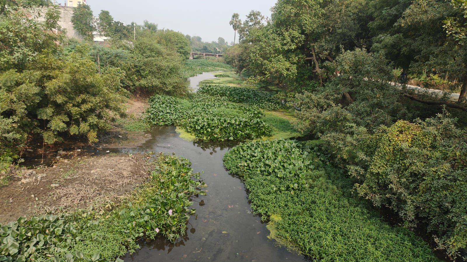 रायबरेली:NTPC मां गंगे की आचल को दूषित जल,वा कचरा केमिकल युक्त पानी नालों से होकर गंगा नदी में  भेजने का काम कर रही।