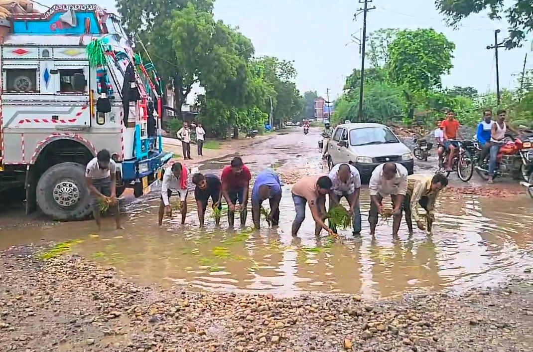 रायबरेली-सड़कों में बने गड्ढो में भरा पानी, लोगों ने की धान की रोपाई