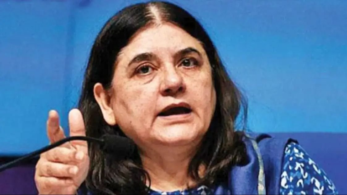 सपा सांसद की जीत के खिलाफ हाईकोर्ट पहुँची मेनका गाँधी 