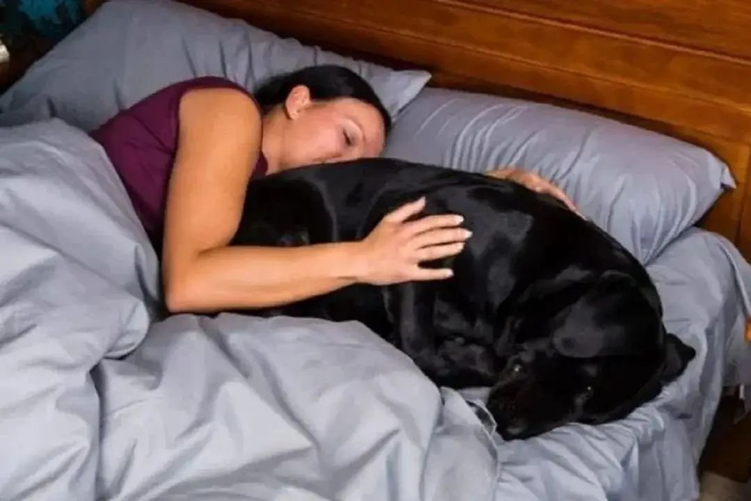 सेक्स की इच्छा हुई तो लड़की ने कुत्ते से बनाया संबंध