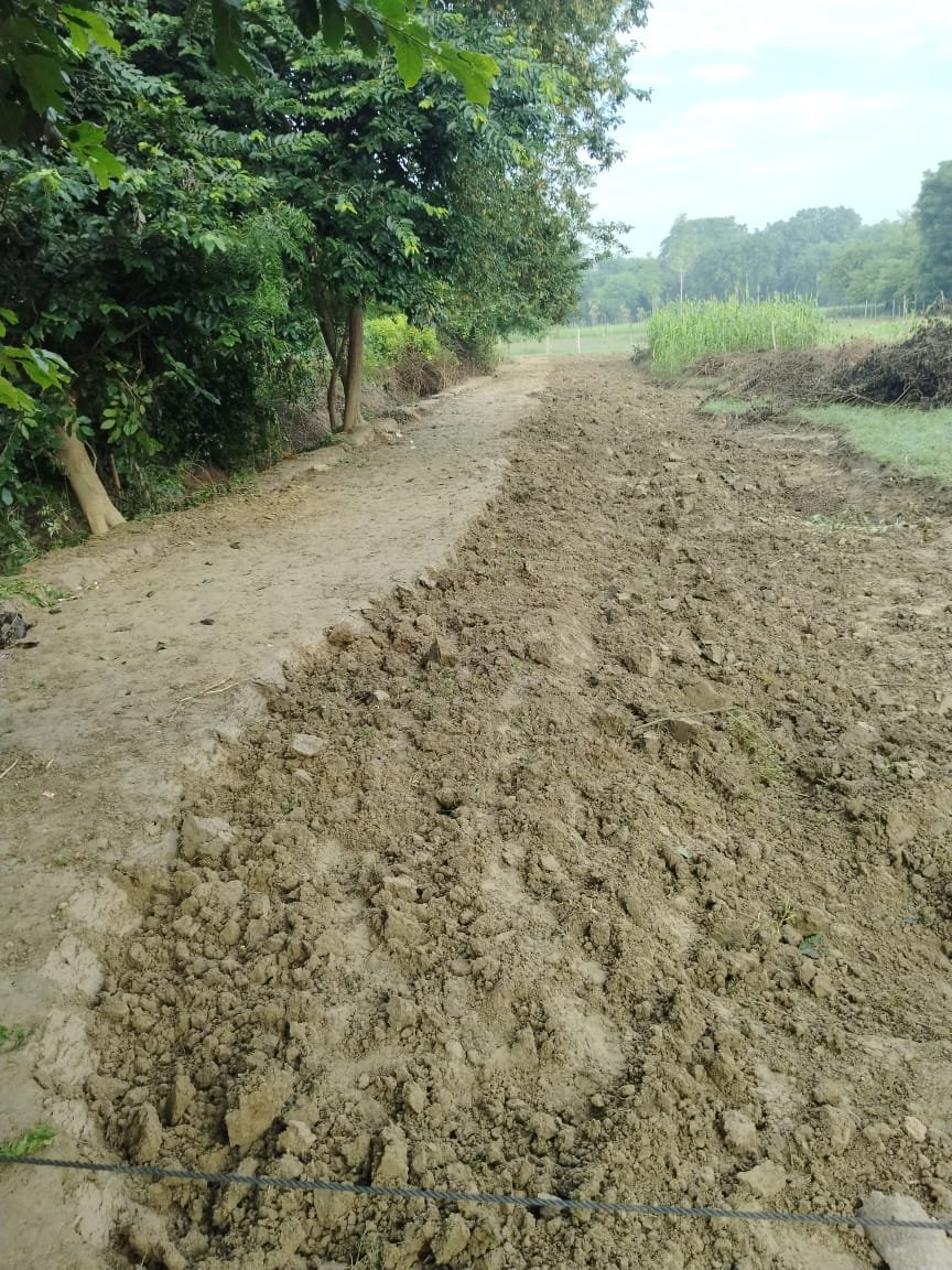 रायबरेली-बनवाए गए चकमार्ग को काटकर खेत में मिलाया , पंचायत विभाग को दो लाख की क्षति 