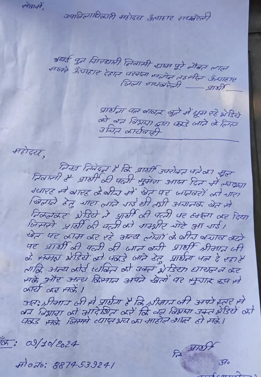 रायबरेली-खेत गई महिला पर आदमखोर भेड़िए ने किया हमला , पूरे गांव में दहशत 