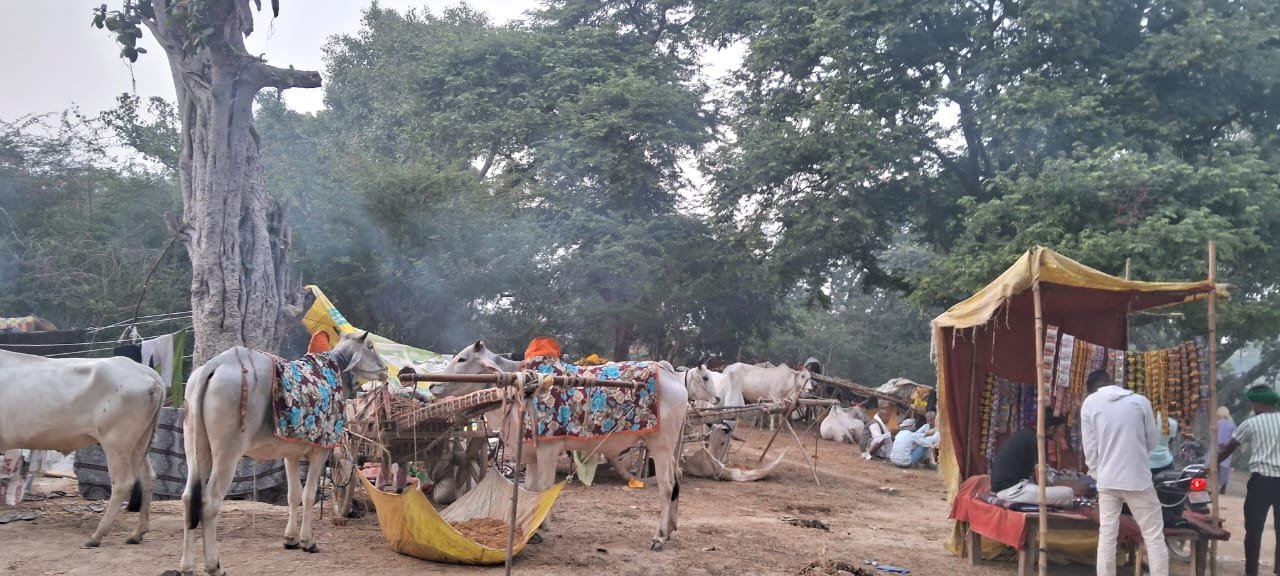 Raibareli-घुंघरू की खनक से गूंज उठा कार्तिक पूर्णिमा मेला