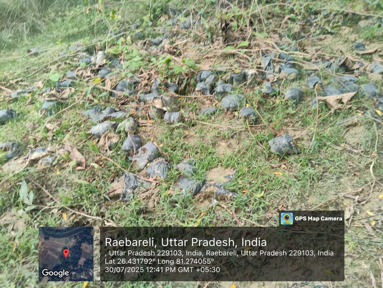 रायबरेली-भ्रष्टाचार की भेट चढ़ा, वृक्षारोपण अभियान