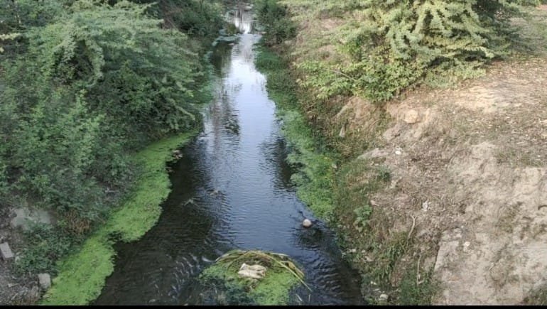 रायबरेली-एनटीपीसी के मल मूत्र नालो का सीधा गंगा में प्रवेश,,,