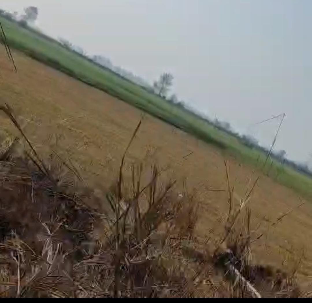 ऊंचाहार:दबंगों ने कोर्ट के आदेश पर हुई पत्थरगड़ी उखाड़ी, पीड़ित को जान से मारने की धमकी