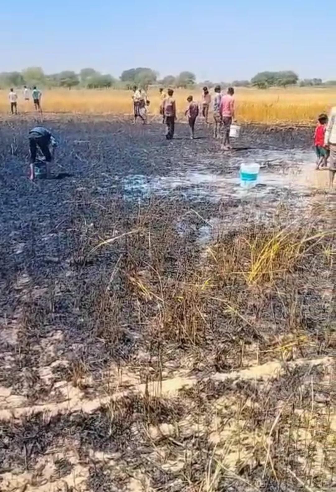 रायबरेली-अचानक धू धू करके जलने लगी गेहूं की फसल , तीन किसानों की गाढ़ी कमाई स्वाहा 
