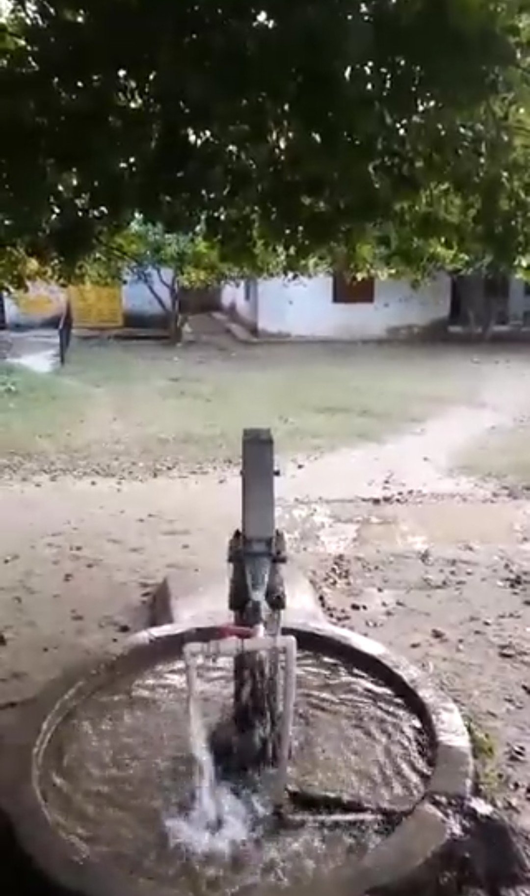 रायबरेली-प्रधानाध्यापक की लापरवाही आई सामने 