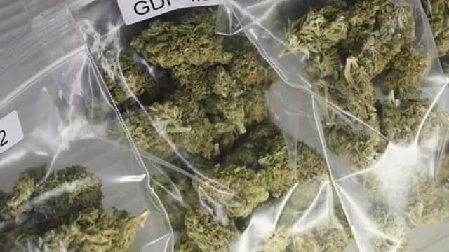 रायबरेली-आखिर कौंन है जो डलमऊ में गांजा कारोबारियों को दे रहा संरक्षण