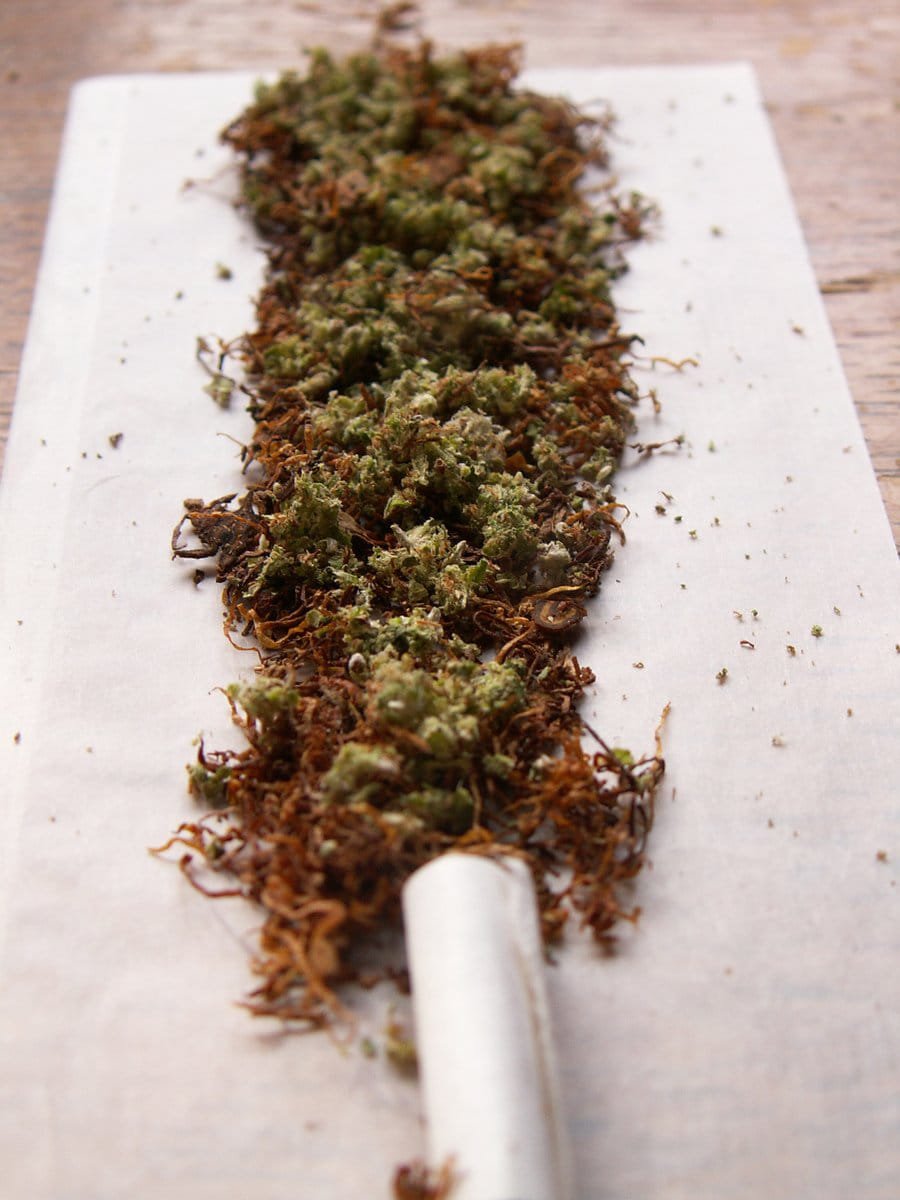 रायबरेली-ऊंचाहार क्षेत्र में मादक पदार्थ गांजा का बड़ा कारोबार जारी, शिकायत के बाद भी कोई कार्यवाही नहीं आखिर क्यों,,,,?