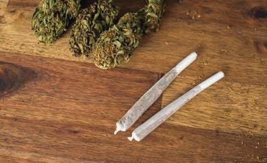 रायबरेली-ऊंचाहार में गांजा माफियाओं पर कार्रवाई से कतरा रहीं पुलिस, एक शख्स सालों से कर रहा कार्यवाई के लिये जद्दोजहद,,, 