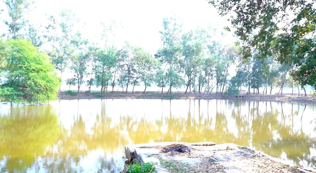 रायबरेली- भ्रष्टाचार की भेंट चढ़ा रामपुर गहिर खेत में बना अमृत सरोवर,प्रधान की मनमानी!!