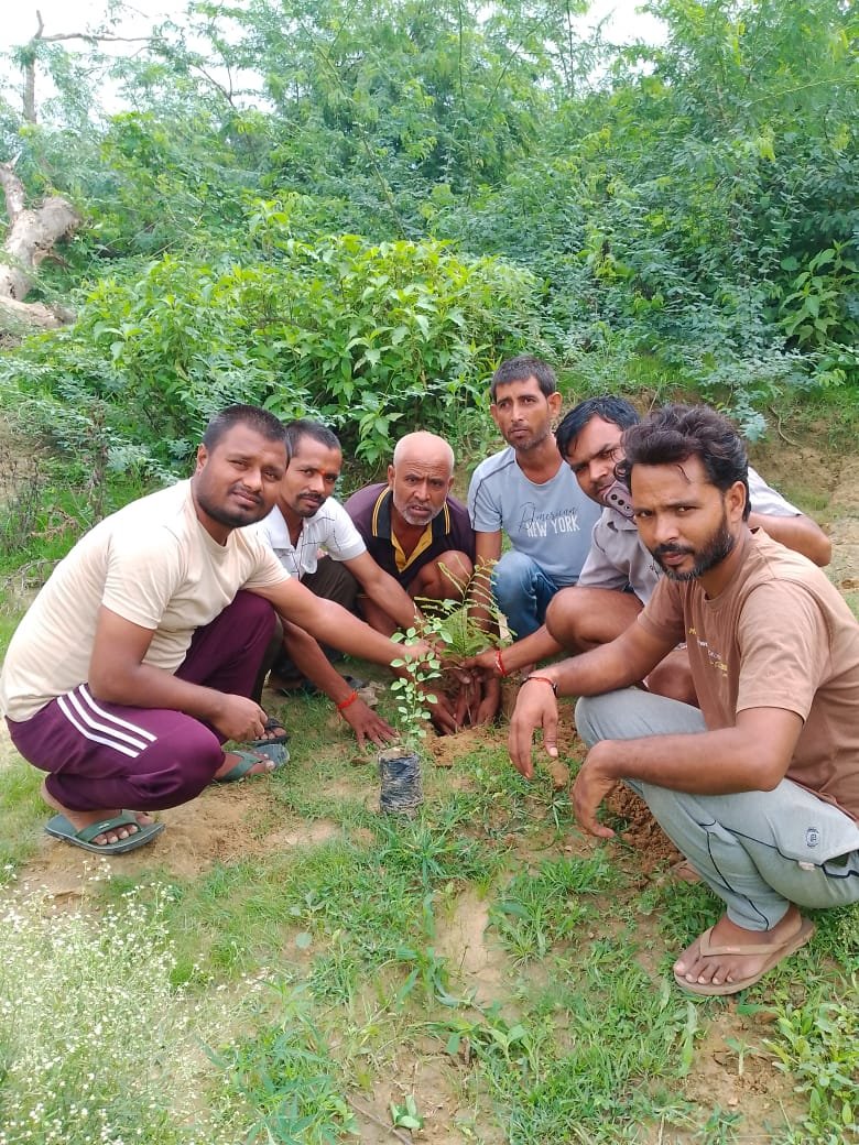 रायबरेली-भाजपाइयों ने किया वृहद वृक्षारोपण कार्यक्रम