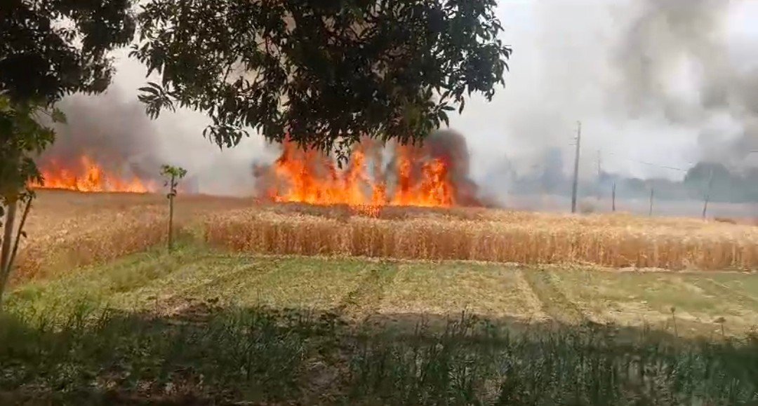 Raibareli-खेत मे लगी भीषण आग,जानिए कहां लगी आग