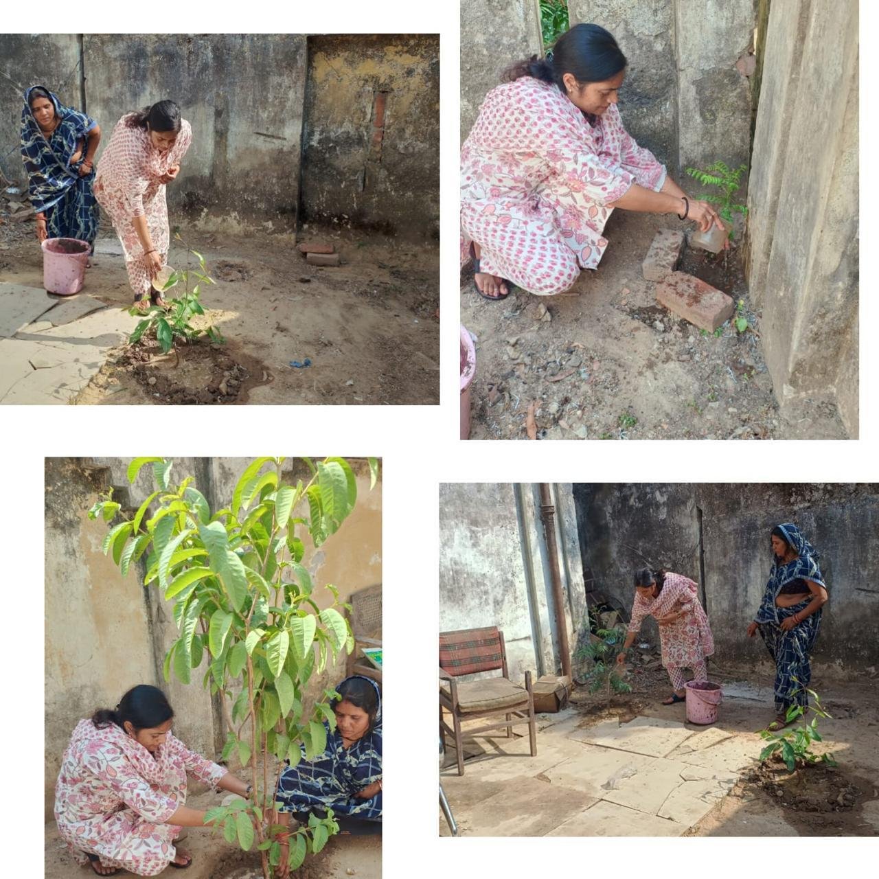 Lसीडीपीओ अर्चना वर्मा ने बाल विकास परियोजना कार्यालय परिसर में वृक्षारोपण किया।