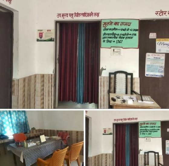 रायबरेली-बरसात के साथ फैल रहा संक्रमण , लगातार मर रहे मवेशी 