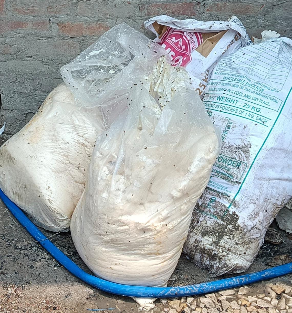 रायबरेली-सुनसान स्थान पर लगी है नकली मावा और पनीर की फैक्ट्री , केमिकल से बनाया जाता है जहर