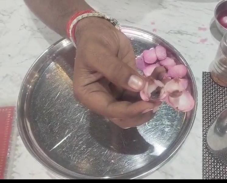 रायबरेली-बटोही ढाबे में खाना खाने गए तीन युवकों के खाने में निकला कीड़ा काटा हंगामा,,,, 