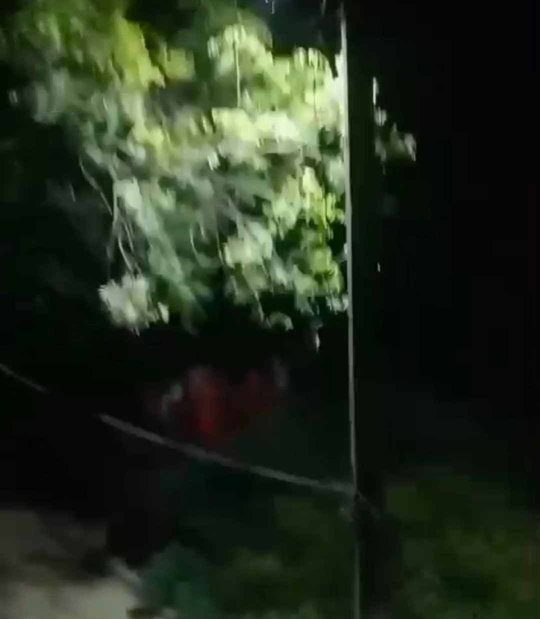 रायबरेली-गांव के ही आधा दर्जन दंबगों ने घर में घूसकर जमकर की मारपीट