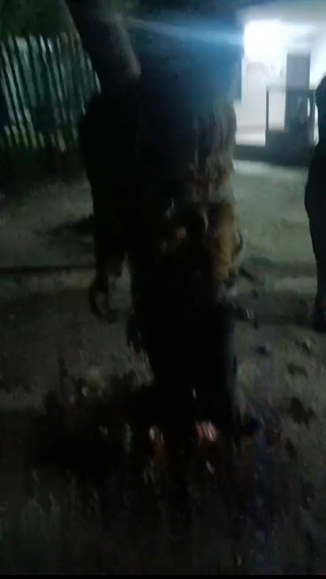 रायबरेली में चोरी करने आये चोर को कर्मचारियों ने रंगे हाथ पकड़ा