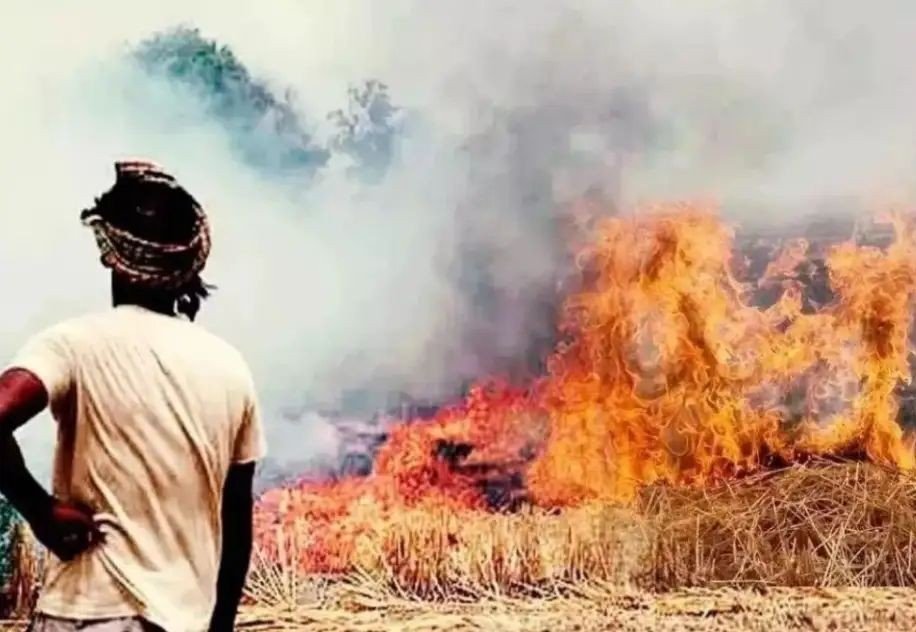 पराली जलाने की घटनाओं पर दिल्ली से रखी जा रही नजर, रायबरेली में दो मामले आए सामने