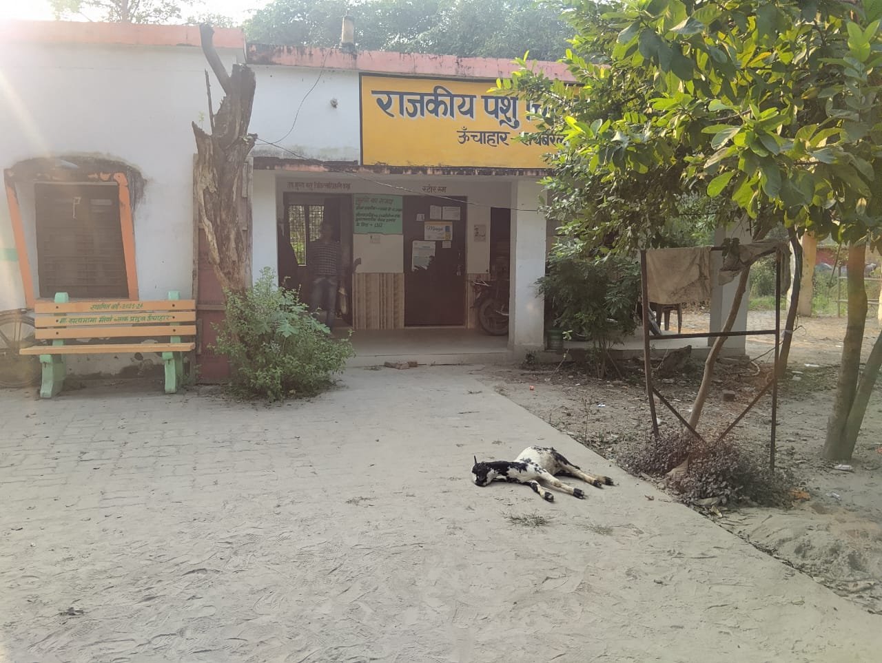 रायबरेली-उपपशु चिकित्सक पर अपने बकरे के इलाज में लापरवाही बरतने वा इलाज में पैसे लेने का आरोप,,,, 