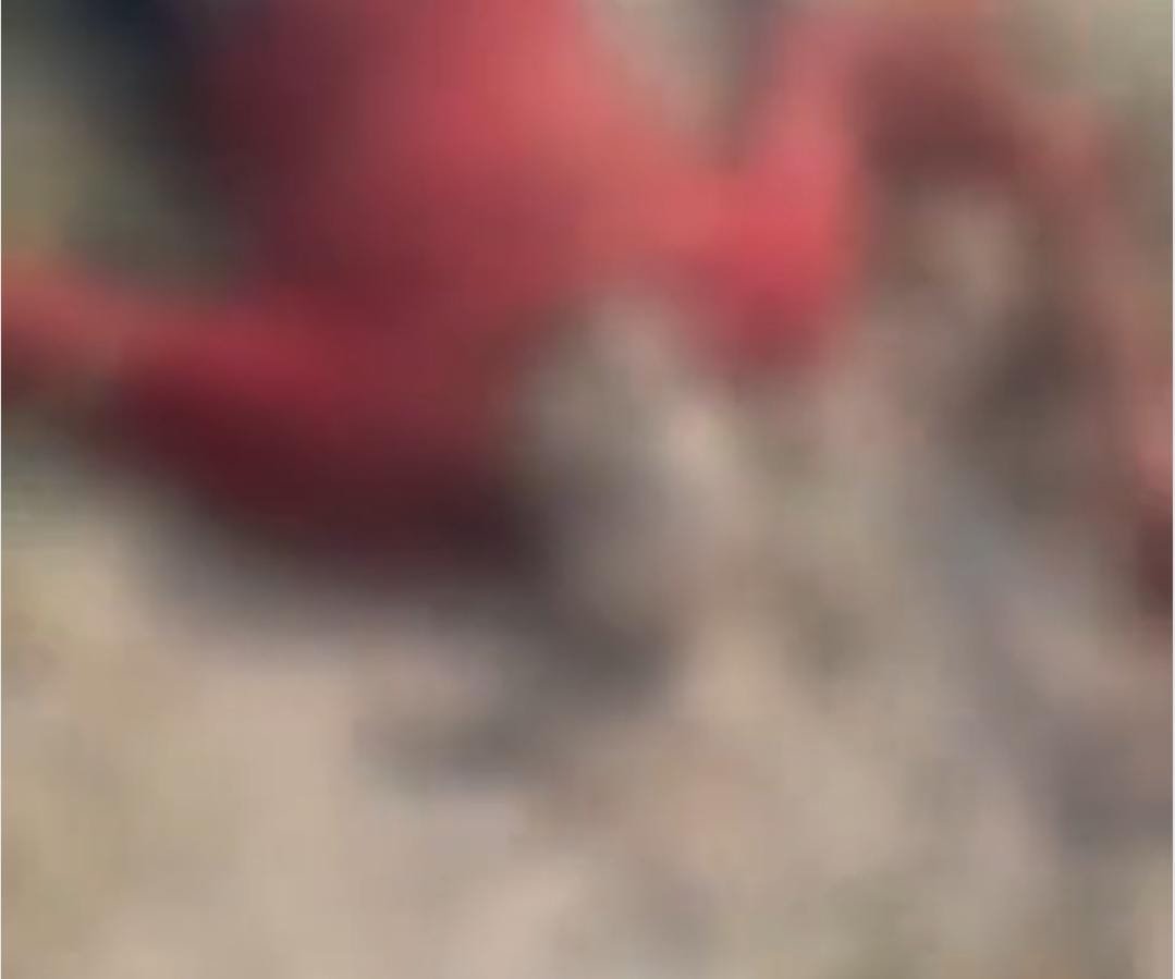 रायबरेली:ऊंचाहार के शारदा सहायक नहर में एक अज्ञात शव मिलने से सनसनी,,,,? 