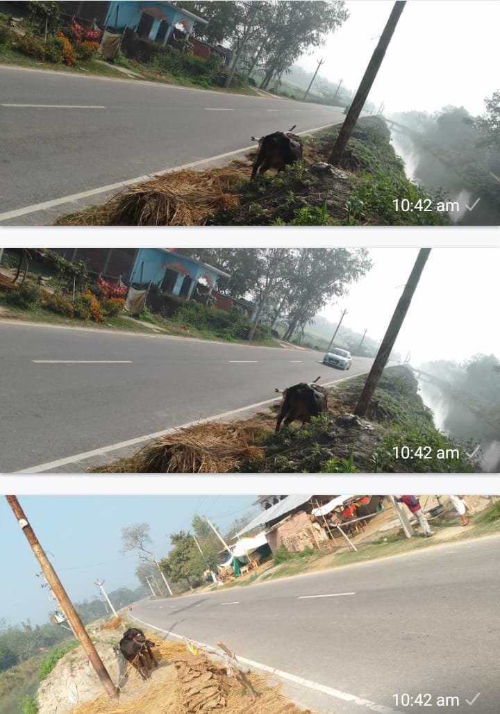 रायबरेली-बाईपास मार्ग पर दुर्घटना का केंद्र बिंदु बनता जा रहा है गजियापुर गांव, हो चुके दर्जनों हादसे व कई मौतें