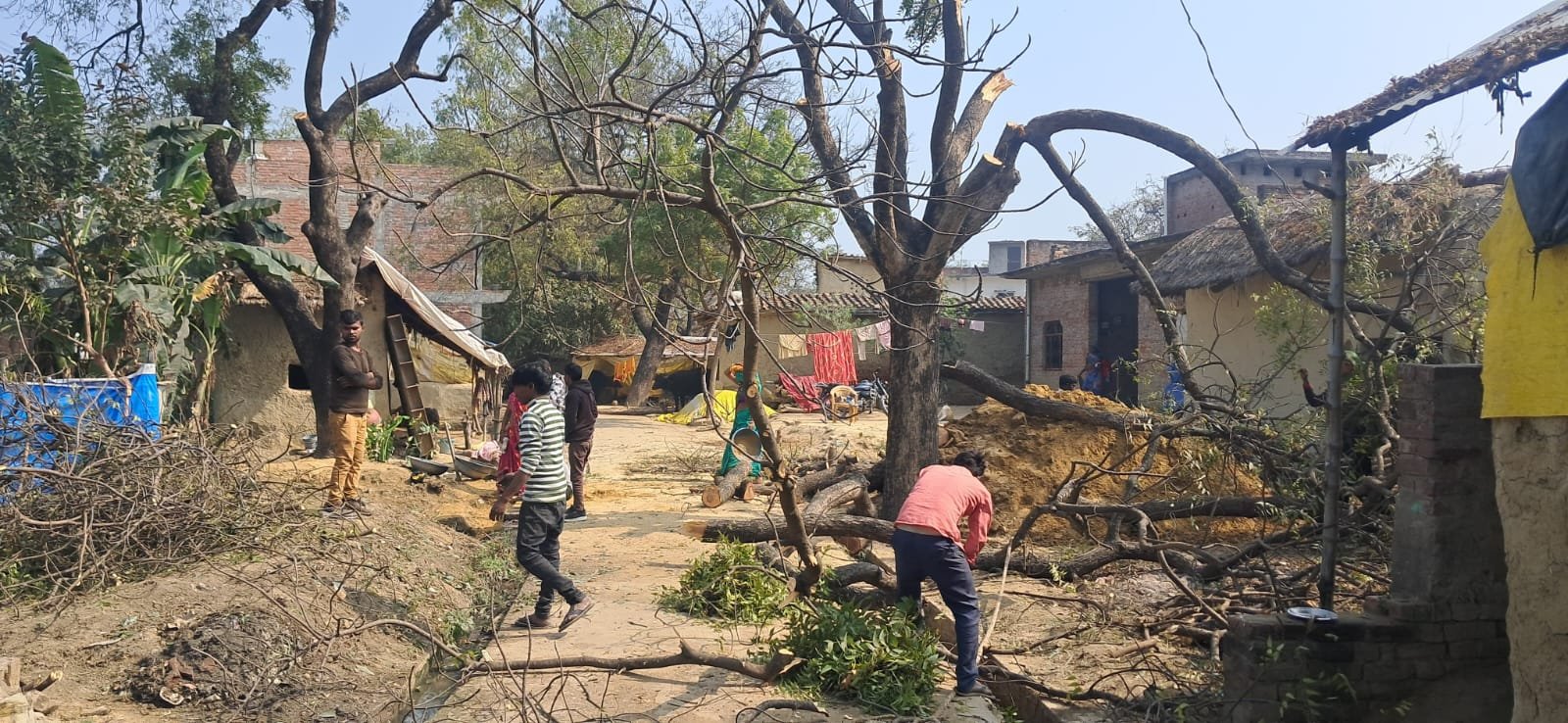 ऊँचाहार में वन माफिया बेखौफ, हरे नीम के पेड़ पर चलाई आरी, लकड़ी लदा वाहन सीज,,, 