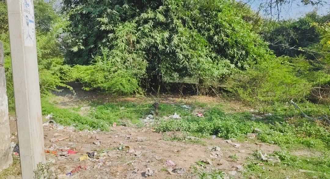 रायबरेली—अमृत सरोवर योजना पर सवाल, सब्जी बबुरा में बदहाल तालाब