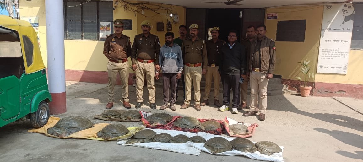 रायबरेली पुलिस की बड़ी कार्यवाही, कछुआ तस्कर को गिरफ्तार कर भेजा जेल