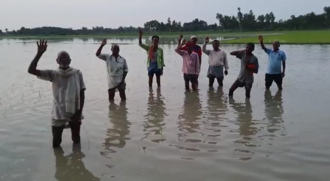 Raibareli-नाले की सफाई न होने से हजारों हेक्टेयर धान की फसल अछई की हेकरी झील में हुई जलमग्न