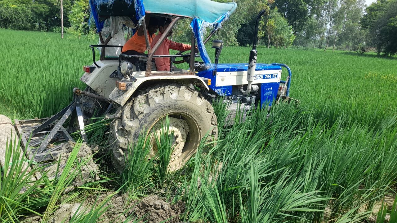 Raibareli-चरागाह की जमीन पर किए गए अवैध कब्जे पर चला प्रशासन का डंडा