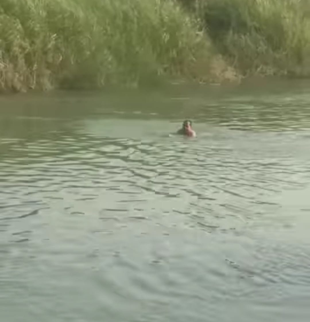 Raibareli-भदोखर थानेदार ने पेस की मानवता,पढ़िए पूरी खबर