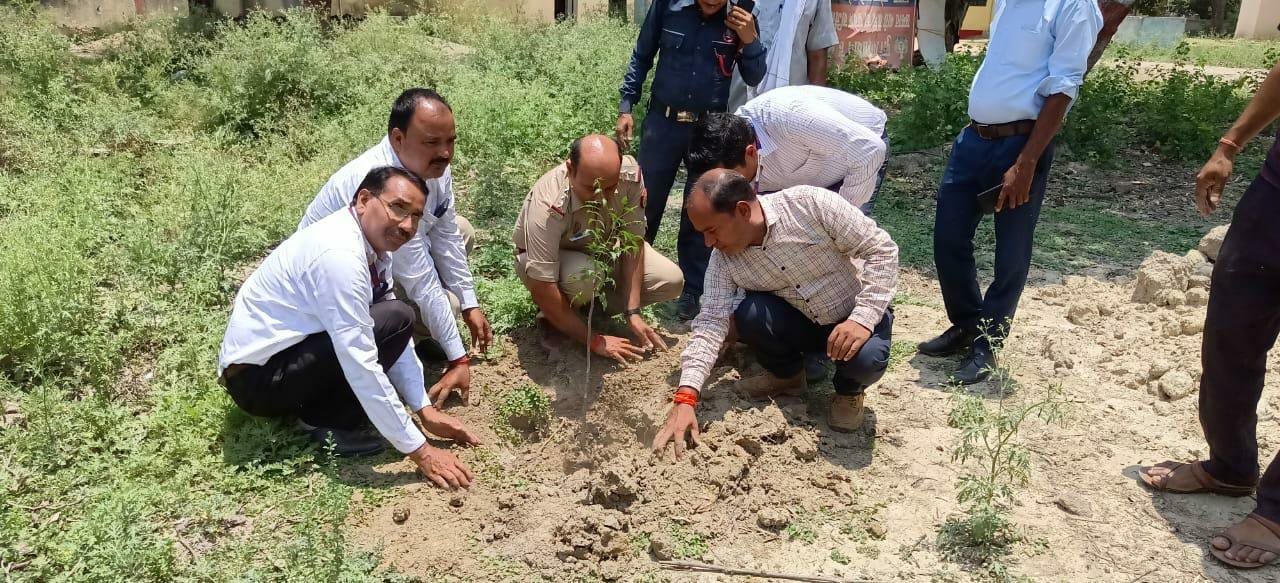 Raibareli-विश्व पर्यावरण दिवस के अवसर पर थाना परिसर में लगाए वृक्ष* 