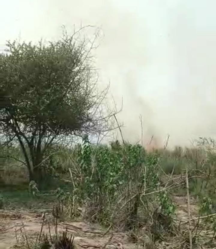 रायबरेली-धूता  के जंगल में लगी आग,मचा हड़कंप,,,,?