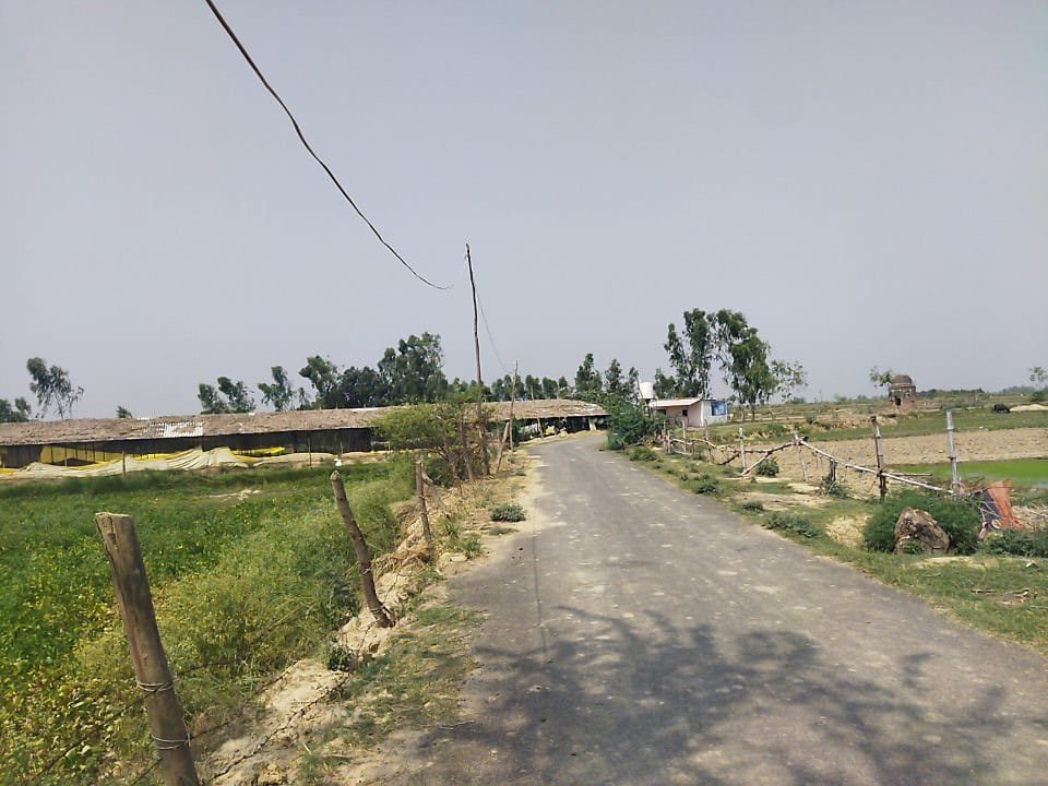 Raibareli-बिजली विभाग की बड़ी लापरवाही बल्लियों के सहारे चल रहा है मुर्गी फार्म का कनेक्शन*