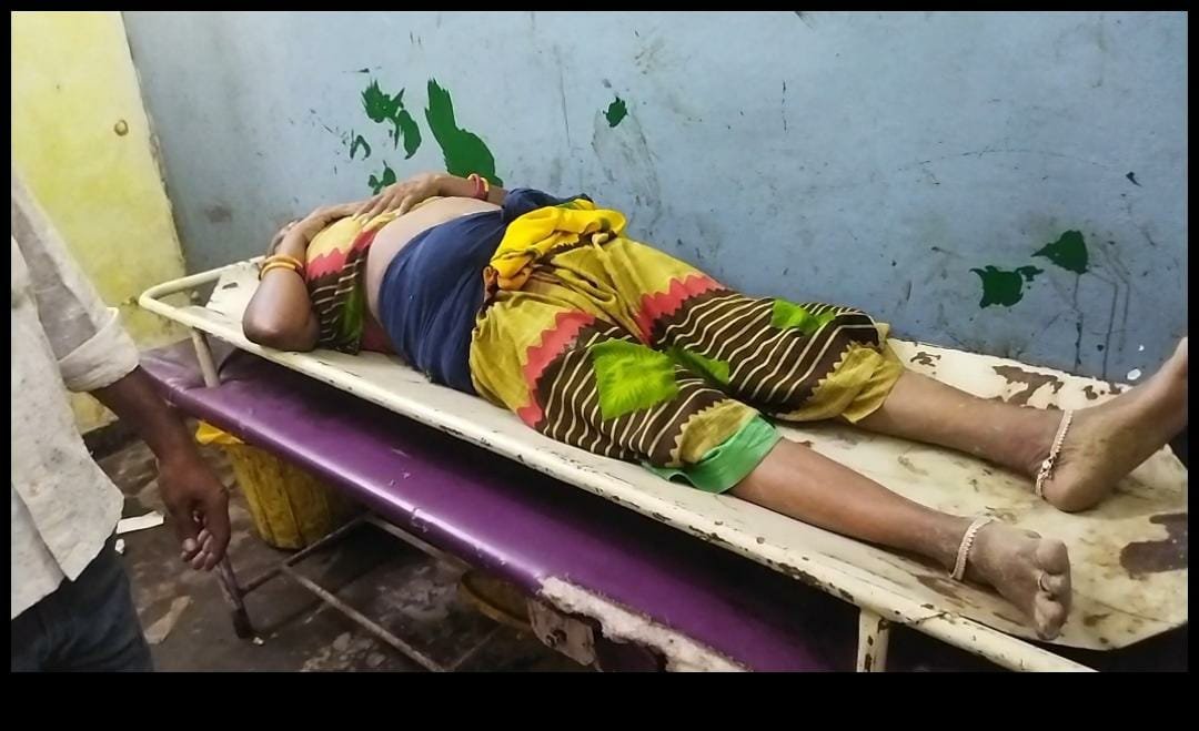 Raibareli-सांड के हमले से महिला गंभीर रूप से घायल