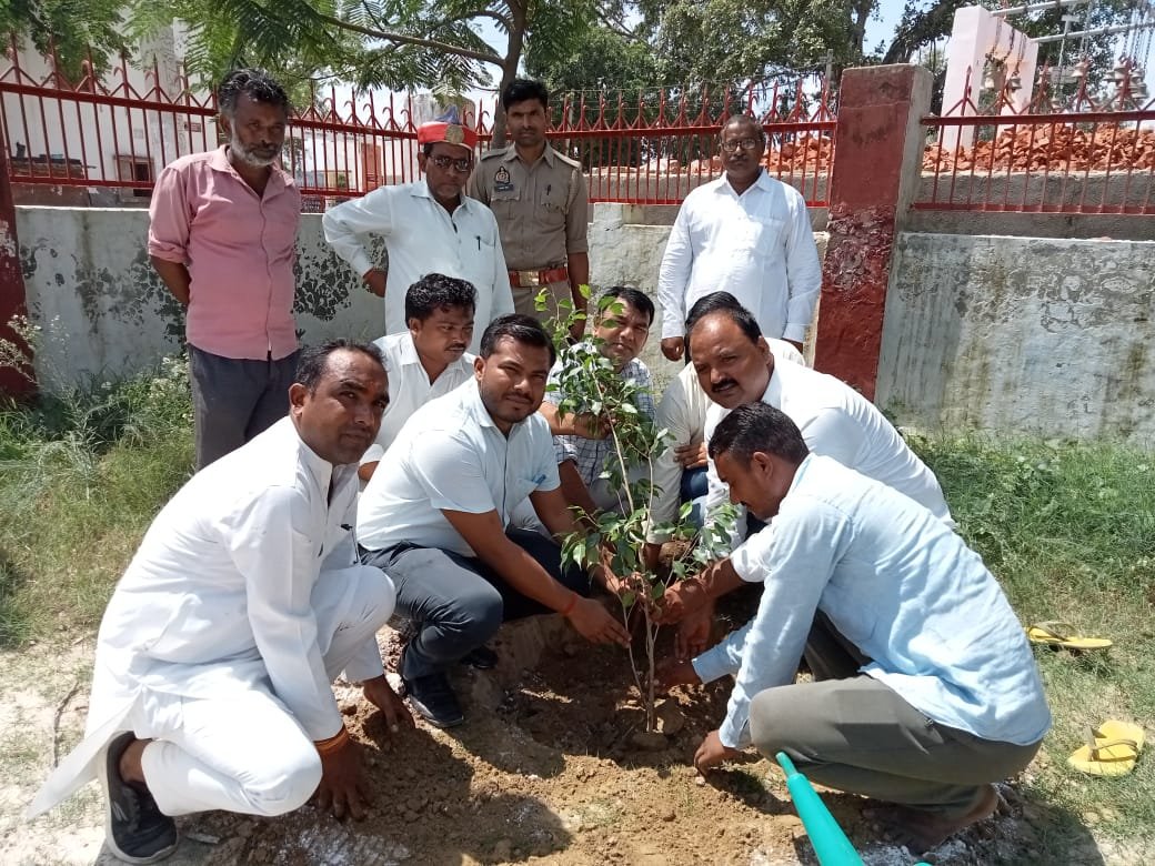 Raibareli-उप जिलाधिकारी की अध्यक्षता में किया गया वृक्षारोपण