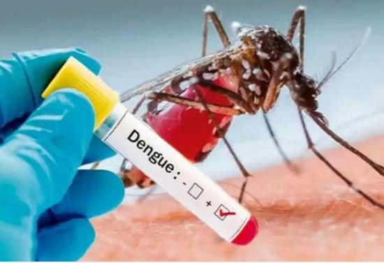 तमाम प्रयासों के बाद भी नहीं थम रहे डेंगू के मामले, 24 घंटे में मिले 7 नए मरीज