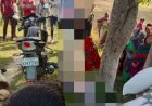 रायबरेली-अजीबोगरीब अवस्था में आम के पेड़ से लटकता मिला 26 वर्षीय युवक का शव, मचा कोहराम