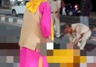 रायबरेली-हाईवे पार कर रहे वृद्ध को अज्ञात ट्रक ने कुचला, मौके पर हुई दर्दनाक मौत
