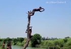 रायबरेली-वायरल हुआ महराजगंज का 'देशी वाटर पार्क: लेकिन जरा संभलकर,यहाँ स्नान करना साबित हो सकता है जानलेवा