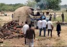 रायबरेली-अवैध कोयला भट्टियों पर चला बुलडोजर, वन विभाग की कार्रवाई से मचा हड़कंप