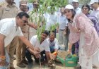 रायबरेली-एक पेड़ माँ के नाम' से गूंजा बूढ़नपुर, सदर विधायक अदिति सिंह ने किया वृहद वृक्षारोपण का शुभारंभ