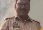 रायबरेली तेज रफ्तार अनियंत्रित कार पुलिया से टकराई, तीन की मौत, दो गंभीर, ट्रॉमा सेंटर रेफर