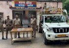रायबरेली-भैंस चोरी के मामले में वांछित शातिर चोर गिरफ्तार, नगदी, मोबाइल व पिकअप बरामद